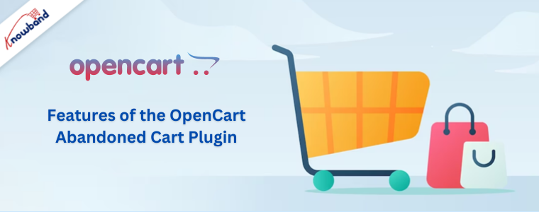 Features of the OpenCart Abandoned Cart Plugin